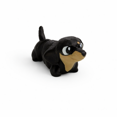 Dachshund
