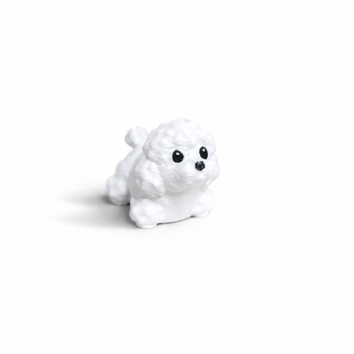 Poodle