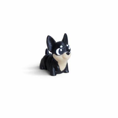 Chihuahua