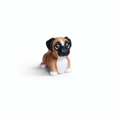 Boxer