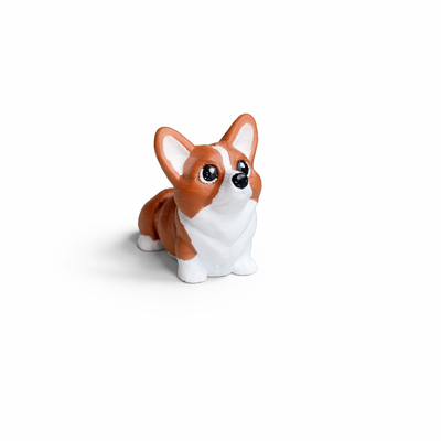 Corgi