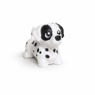 Dalmata
