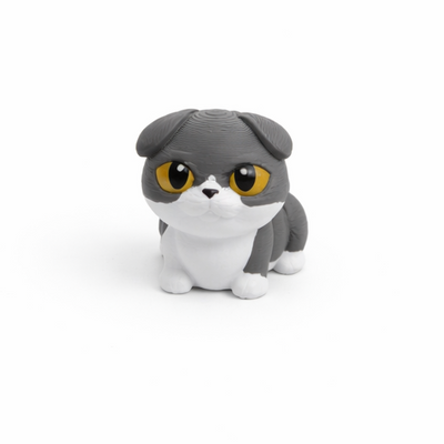 Gatos Scottish Fold