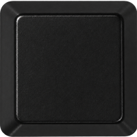 Negro