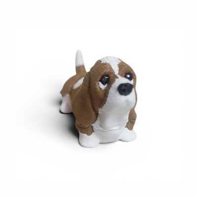 Baaset Hound